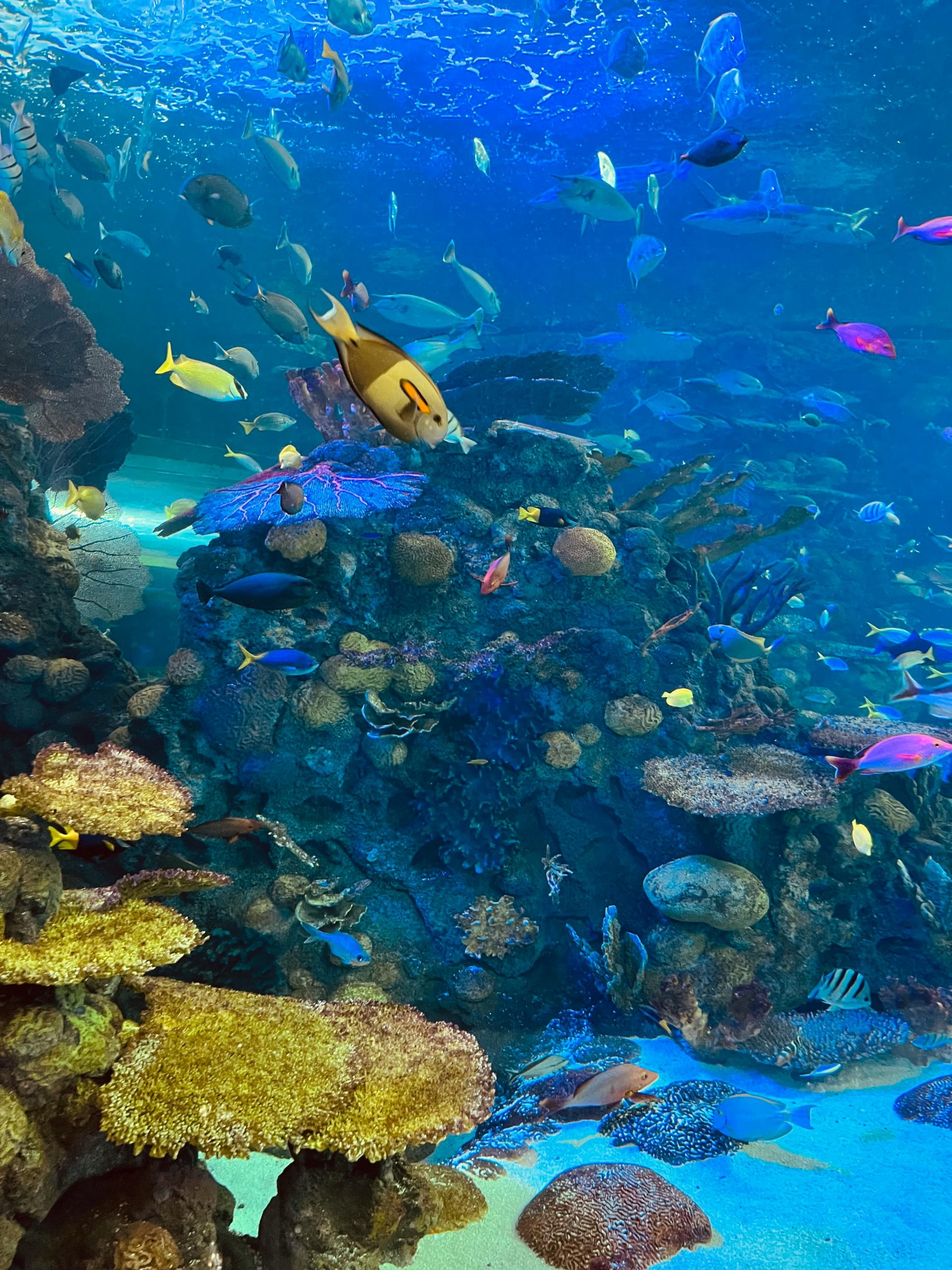 pexels christy b 3102975 11839537 1 scaled 1