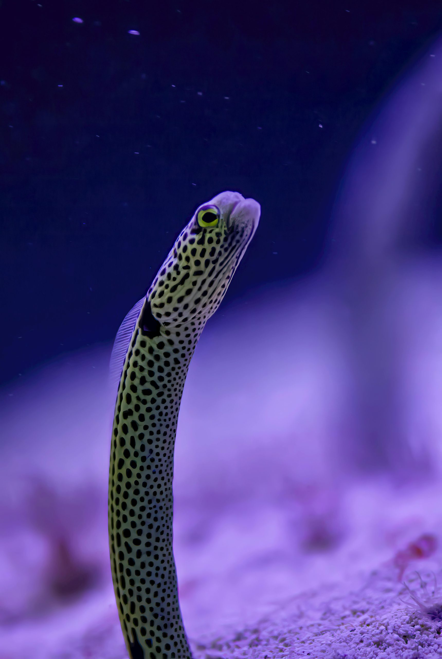 pexels erdal erdal 413074041 27807203 scaled 1