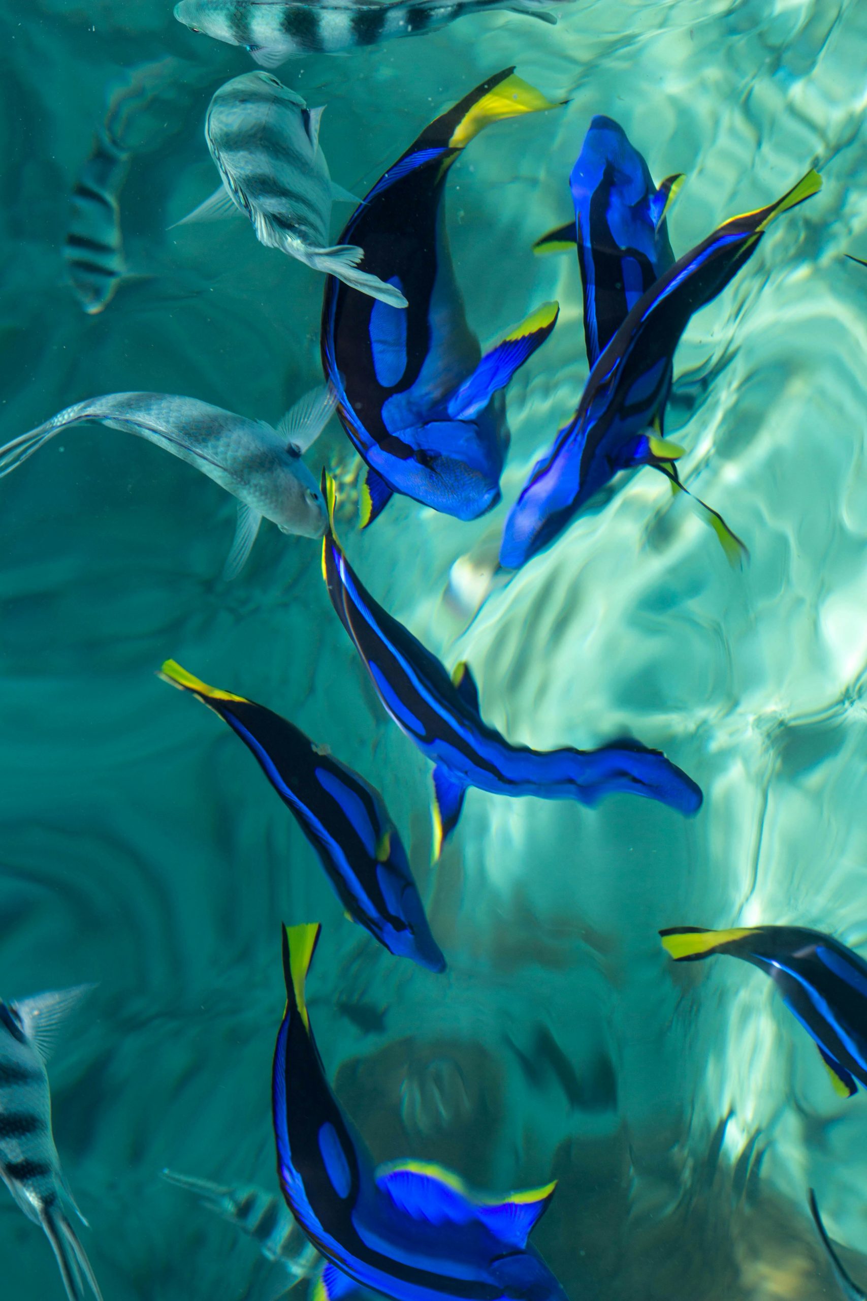 pexels mimi 3458731 19129375 scaled 1