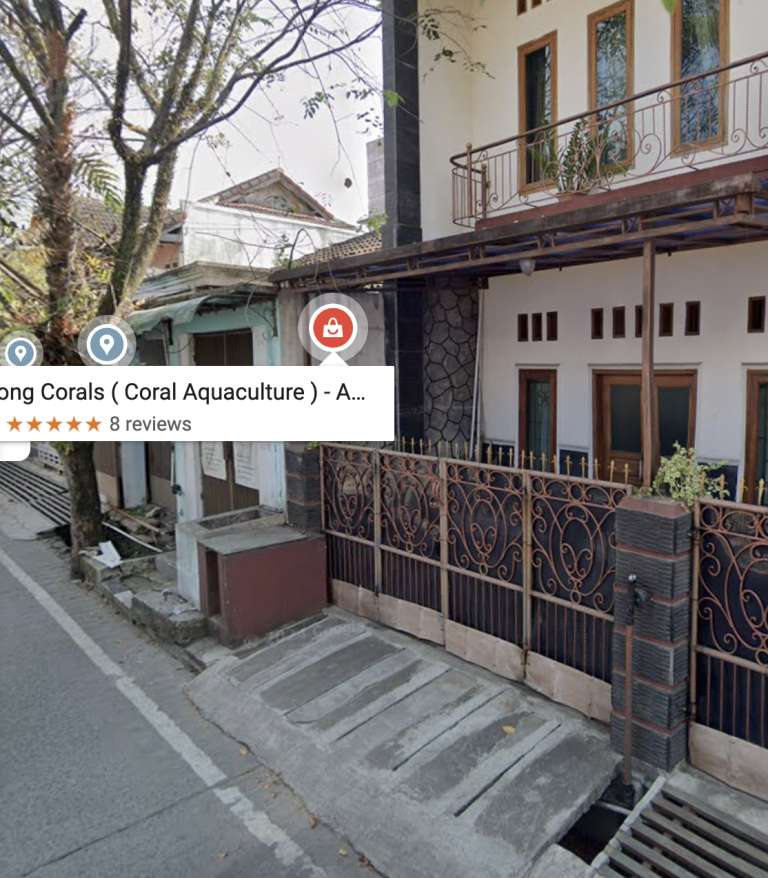 Jnong Corals - Aquarium Laut 1 Screenshot 2025 08 13 at 18.59.55 6 768x878